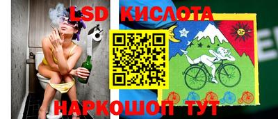 стаф Бузулук