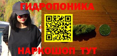 скорость Будённовск