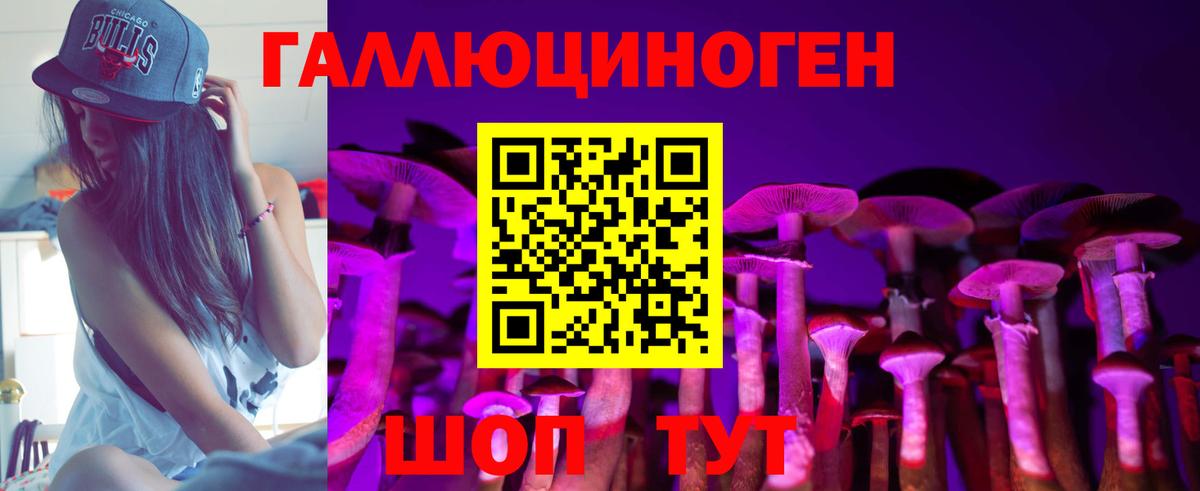 Псилоцибиновые грибы Cubensis  Вход с VPN  что такое наркотик  Искитим 